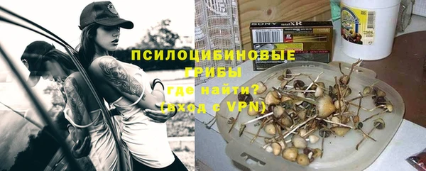 винт Дмитриев