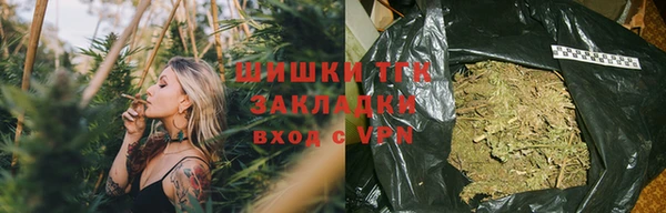 винт Дмитриев