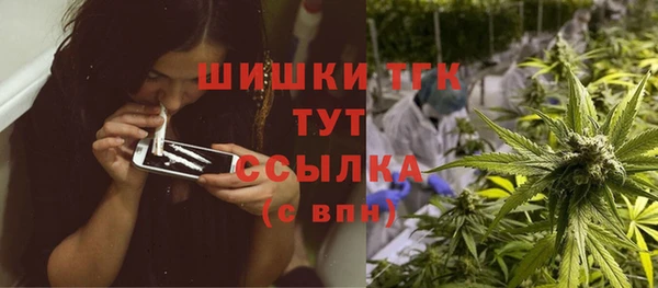 винт Дмитриев