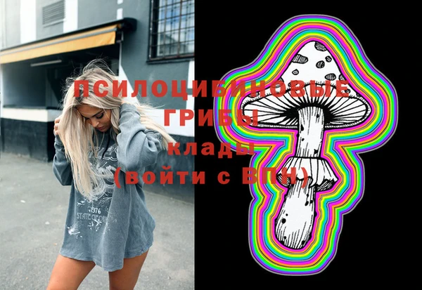 2c-b Дмитров
