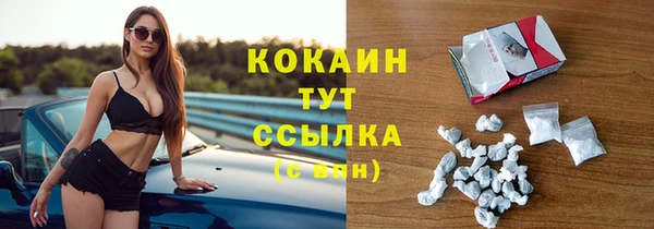 винт Дмитриев