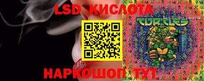 гидропоника Краснознаменск