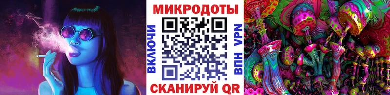 Псилоцибиновые грибы Psilocybe Калач-на-Дону