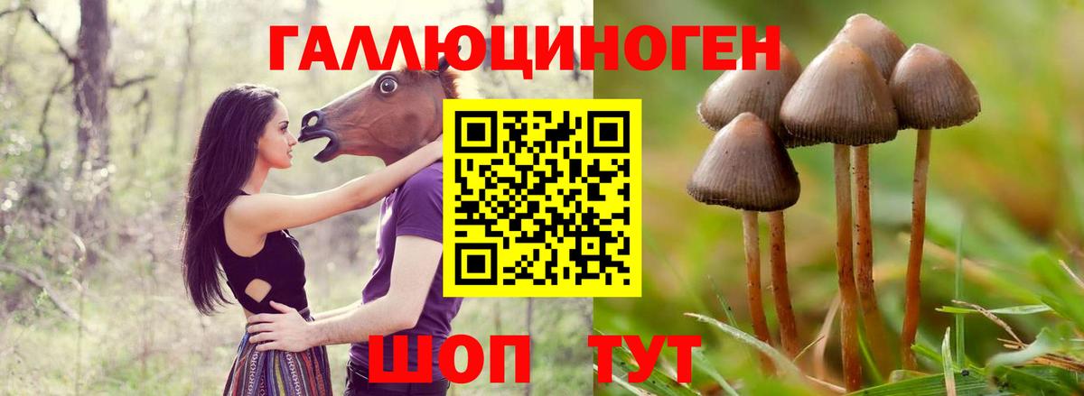 Галлюциногенные грибы MAGIC MUSHROOMS Калач-на-Дону